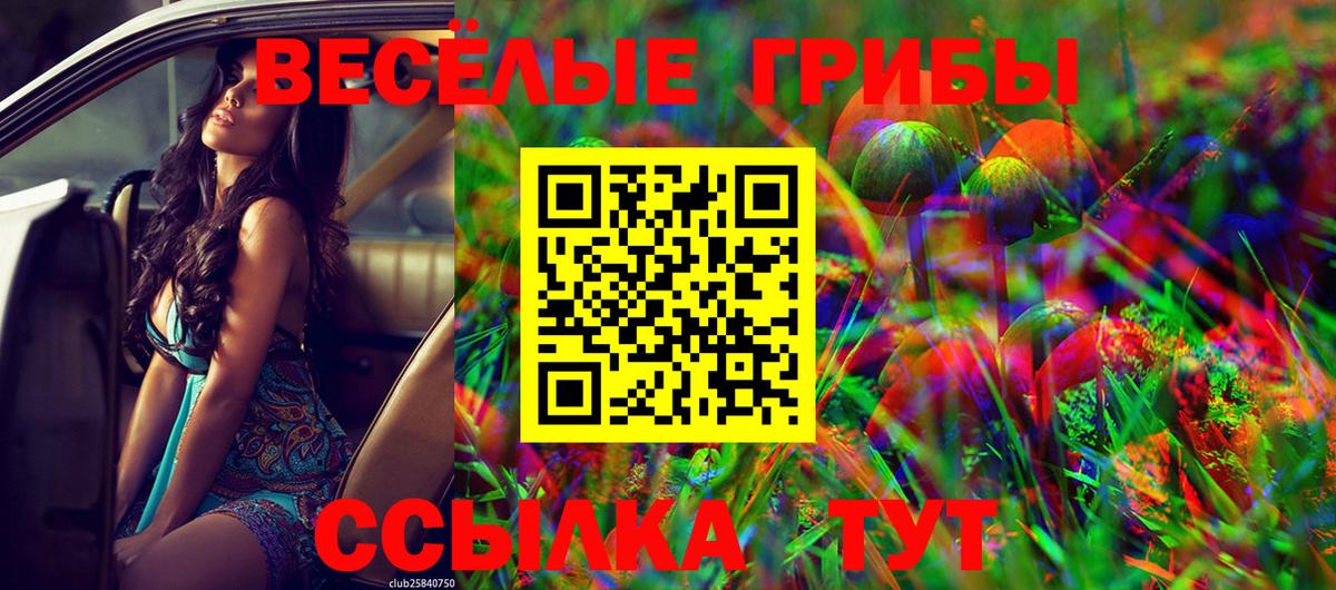 Галлюциногенные грибы GOLDEN TEACHER  Вход с VPN  Каменск-Уральский 