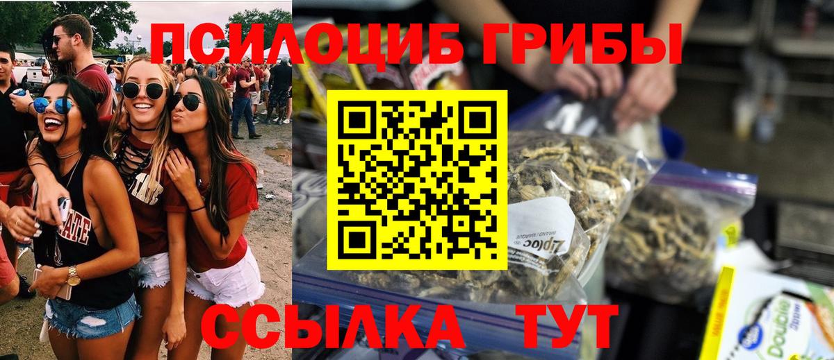 Галлюциногенные грибы прущие грибы Каменск-Уральский